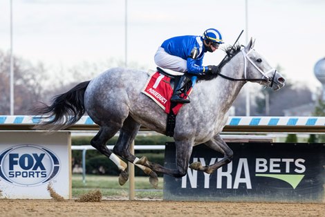 Muhimma wins the 2024 Demoiselle Stakes at Aqueduct Racetrack