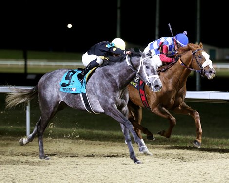 Paros wins the 2024 Prairie Bayou Stakes at Turfway Park