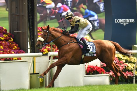 Giavellotto takes the 2024 Hong Kong Vase with Oisin Murphy in the saddle