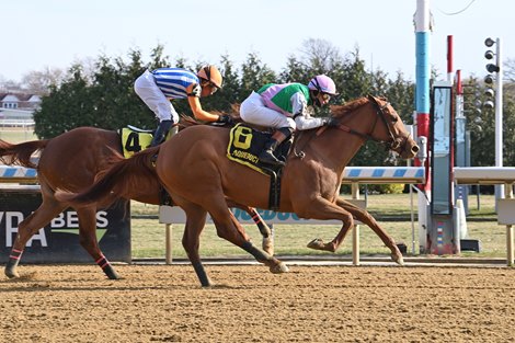 Ramify, Maiden Win, Aqueduct Racetrack, December 8 2024