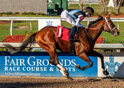 12/21/2024 - Jockey Jareth Loveberry pilots Built to victory in the 4th running of the $100,000 Gun Runner Stakes at Fair Grounds.  Hodges Photography / Lou Hodges, Jr.