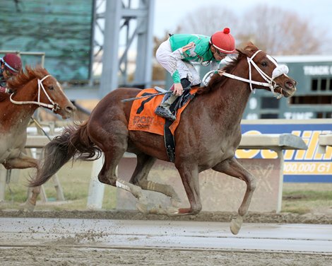 Global Steve #7 ridden by Mychel Sanchez wins the $75,000 Parx Future Stars on December 30, 2024 at Global Steve wins the Parx Future Stars on December 30, 2024 at Parx Racing
