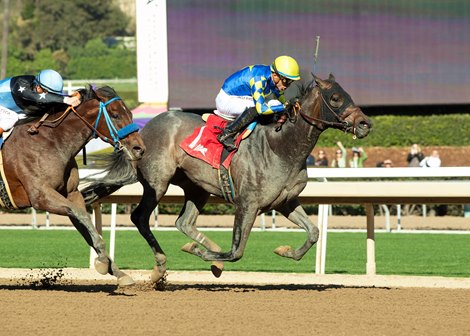 Madaket Road, race 2, Santa Anita Park, December 26, 2024