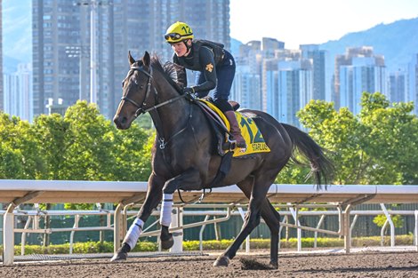 Starlust, Sha Tin, December 4 2024