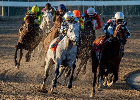 Saudi Crown, Tenacious Stakes, Fair Grounds, December 21, 2024