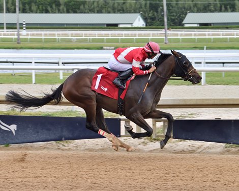 Burnham Square, Maiden Win, Gulfstream Park, December 28 2024