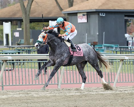 National Law #8 ridden by Paco Lopez drifted all the way to the outside rail but still held on to win a $50,000 maiden special weight on December 3, 2024 at Parx Racing in Bensalem, PA. The two-year-old son of Constitution is trained by Jorge Duarte, Jr., for Colts Neck Stables LLC. Photo by Nikki Sherman/EQUI-PHOTO.