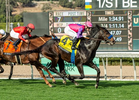 Cuyathy LLC'S Johannes and jockey Umberto Rispoli, right, win the Grade II $200,000 San Gabriel Stakes Thursday, December 26, 2024 at Santa Anita Park, Arcadia, CA.<br>
Benoit Photo