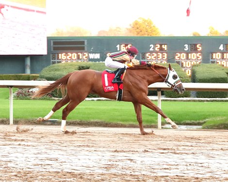 American Promise, race 10, Oaklawn, December 29, 2024