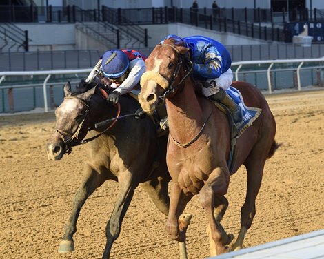 Poster wins the 2024 Remsen Stakes at Aqueduct Racetrack