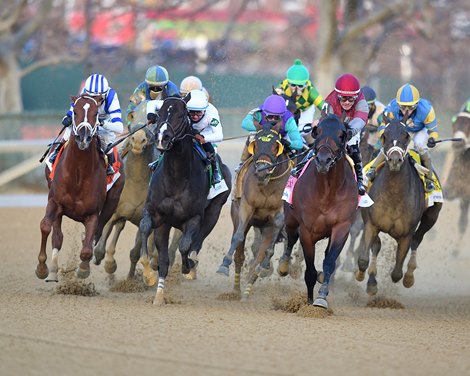 Locked wins the 2024 Cigar Mile at Aqueduct Racetrack