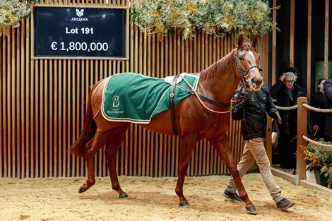 2024 Arqana December Breeding Stock Sale, Lot 191