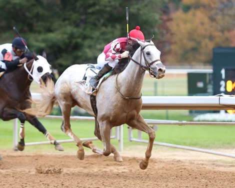 Sandman - AOC - Oaklawn - 121324