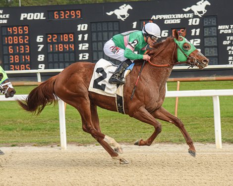 Dancing Magic wins the 2025 Gasparilla Stakes at Tampa Bay Downs