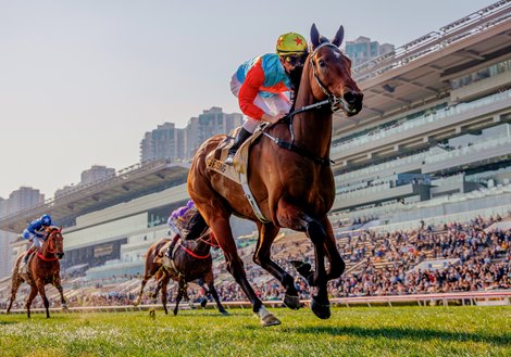 Ka Ying Rising with Zac Purton wins the Centenary Sprint Cup at Sha Tin Racecourse in Hong Kong, China on January 19, 2025. Photo by: Alex Evers / HKJC