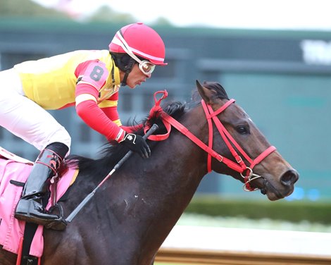 COAL BATTLE wins the 2025 Smarty Jones Stakes at Oaklawn Park