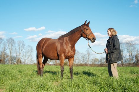 Nancy Shuford at her farm in North Carolina. Photos by Insight Photographics/James Labrenz. Sales horses and people at Keeneland November Sales Nov. 13, 2017  in , .