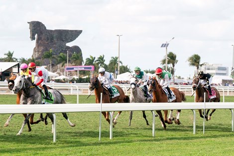 Pegasus World Cup Turf Invitational, Gulfstream Park, Hallandale Beach, FL, 1-25-25, Mathea Kelley