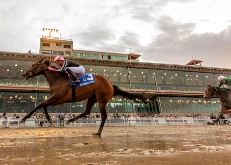 1/18/2025 - Jockey Joel Rosario pilots Stir Crazy to victory in the 31st running of the Marie G. Krantz Memorial Stakes at Fair Grounds.  Hodges Photography / Amanda Hodges Weir