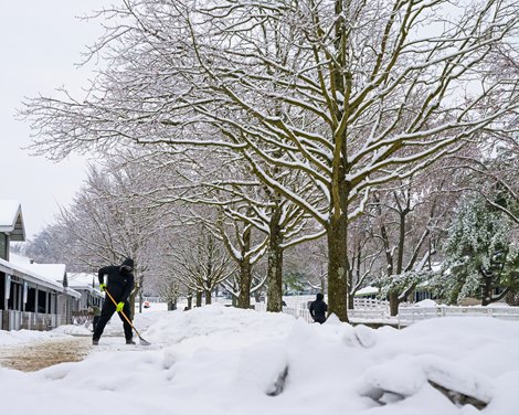 The latest snow is shoveled from the show rings on the Keeneland sales grounds.