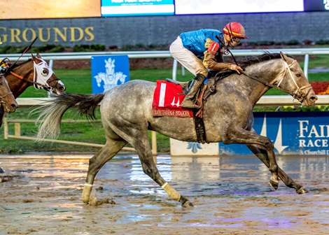 1/18/2025  -  Hit Show with Florent Geroux aboard wins the 79th running of the Grade III $175,000 Louisiana Stakes.  Hodges Photography / Lou Hodges, Jr.