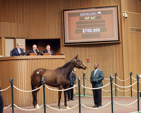 Hip 447, 2025 Keeneland January Sale