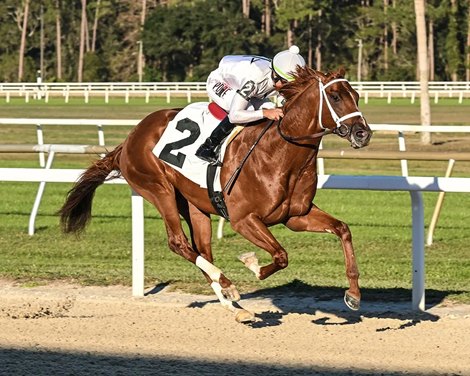 John Hancock, Maiden Win, Tampa Bay Downs, January 8 2025