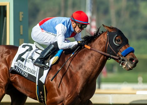 Zedan Racing's Barnes and jockey Juan Hernandez win the G2 $200,000 San Vicente Stakes Saturday January 4, 2025 at Santa Anita Park, Arcadia, CA.  The 3-year-old son of Into Mischief is named after trainer Bob Baffert’s assistant trainer Jimmy Barnes.<br>
Benoit Photo