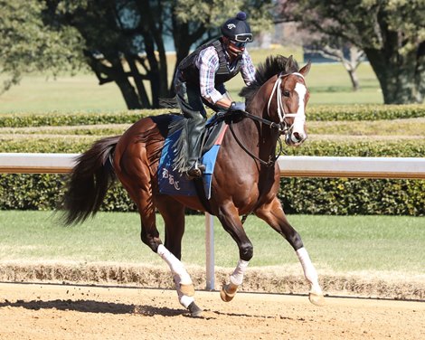 Patch Adams , Gallop, Oaklawn Park, 01-24-25