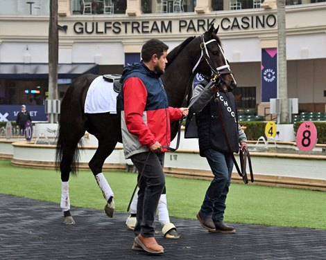 Raqiya, Gulfstream Park, January 22 2025
