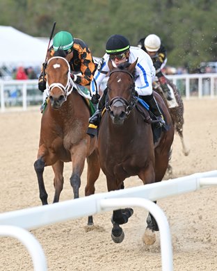 Naughty Rascal (outside) is awarded the win in the 2025 Pasco Stakes at Tampa Bay Downs after the disqualification of Owen Almighty, who finished first