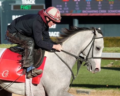 Sandman - Gallop - Oaklawn - 012325