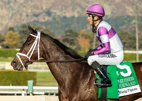 Jockey Mario Gutierrez guides Look Forward to the winner's circle after their victory in the $100,000 Fasig-Tipton Santa Ynez Stakes Sunday January 5, 2025 at Santa Anita Park, Arcadia, CA.<br>
Benoit Photo