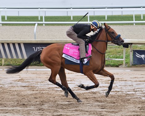 Dona Clota, Gulfstream Park, January 23 2025
