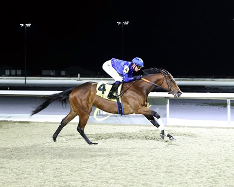 Wondrous, Maiden Win, Turfway Park, January 17 2025