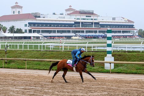 Mystik Dan, Gulfstream Park, January 23 2025