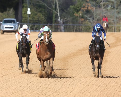 Tejano Twist wins the 2025 King Cotton Stakes at Oaklawn Park Tejano Twist wins the 2025 King Cotton Stakes at Oaklawn Park