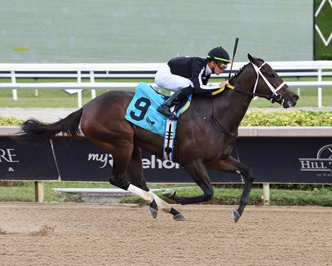 R Disaster, AOC, Gulfstream Park, January 18 2025