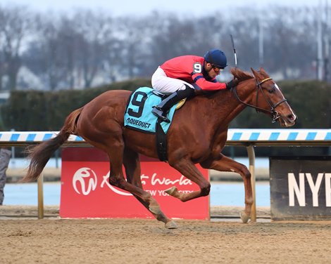 Running Away wins the 2025 Busanda Stakes at Aqueduct Racetrack