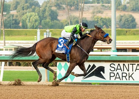 Chilean-bred Richi and jockey Kazushi Kimura win the Grade III $100,000 Las Flores Stakes Saturday January 4, 2025 at Santa Anita Park, Arcadia, CA, giving trainer Bob Baffert his second stakes win and fourth win on the day.<br>
Benoit Photo