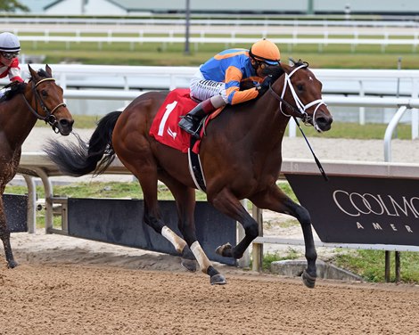 Grande, Maiden Win, Gulfstream Park, January 11 2025