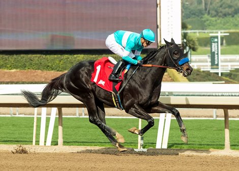Rodriguez, Maiden Win, Santa Anita Park, January 4 2025 Rodriguez, Maiden Win, Santa Anita Park, January 4 2025