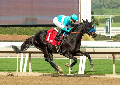 Rodriguez, Maiden Win, Santa Anita Park, January 4 2025