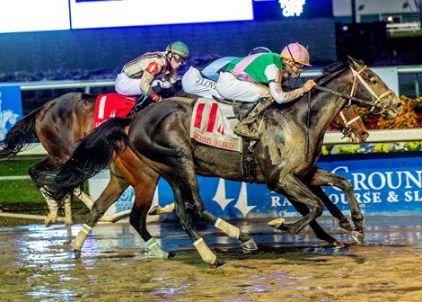  1/18/2025 - Disco Time with jockey Florent Geroux aboard get a head in front of Built to win the 81st running of the Grade III $250,000 Lecomte Stakes at Fair Grounds.  Hodges Photography / Lou Hodges, Jr.