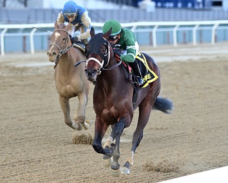 Captain Cook wins the 2025 Withers Stakes at Aqueduct Racetrack