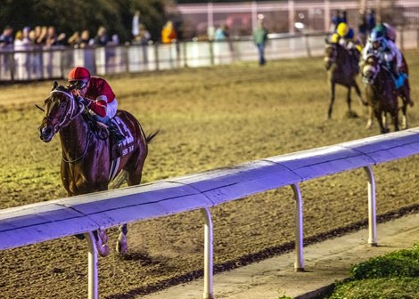 2/15/2025  -  Magnitude with Ben Curtis aboard wins the 53rd running of the Grade II $500,000 Risen Star Stakes at Fair Grounds.  Hodges Photography / Amanda Hodges Weir