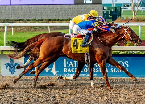 2/15/2025  -  Hall Of Fame with jockey Jose Ortiz aboard wins the 40th running of the Grade III $250,000 Mineshaft Stakes at Fair Grounds.  Hodges Photography / Lou Hodges, Jr.