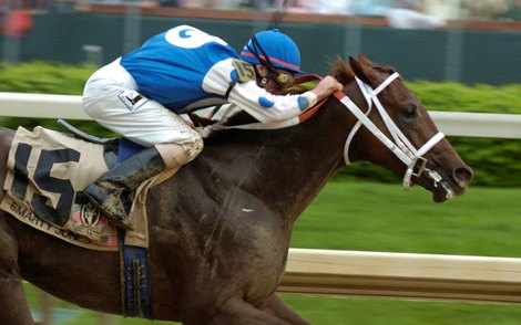 Smarty Jones wins the 2004 Kentucky Derby at Churchill Downs, Stewart Elliott up