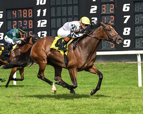 Saffron Moon wins the 2025 Endeavour Stakes at Tampa Bay Downs