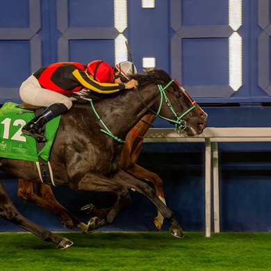 Ascoli Piceno wins the 2025 1351 Turf Sprint at King Abdulaziz Racetrack, Riyadh, Saudi Arabia, Mathea Kelley-JSCA, Feb. 22, 2025